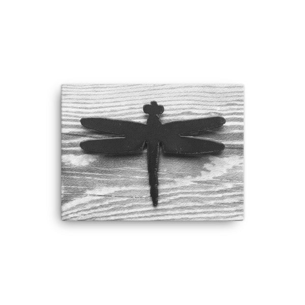 Dragonfly - Original Photo on Canvas by Holly Simmons